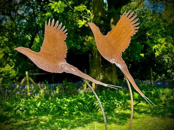 WELCOME TO THE RUSTIC GARDEN ART SHOP Here we have one of our. Rustic Metal Pheasant Garden Art Sculpture **SINGLE PHEASANT** Sizes & Measurements:
46cm x 22cm (excluding arched stake Made From 2mm Mild Steel.
