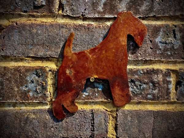WELCOME TO THE RUSTIC GARDEN ART SHOP Here we have one of our. Large Exterior Rustic Rusty Lakeland Terrier Dog Garden Wall Hanger House Gate Sign Hanging Metal Art Sculpture Sizes & Measurements:
50cm x 45cm Made From 2mm Mild Steel.