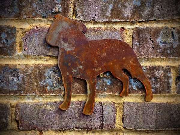 WELCOME TO THE RUSTIC GARDEN ART SHOP Here we have one of our. Small Exterior Rustic Rusty Staffordshire Bull Terrier Staffy Dog Garden Wall Hanger House Gate Sign Hanging Metal Art Sculpture Sizes & Measurements:
22cm x 22cm Made From 2mm Mild Steel.