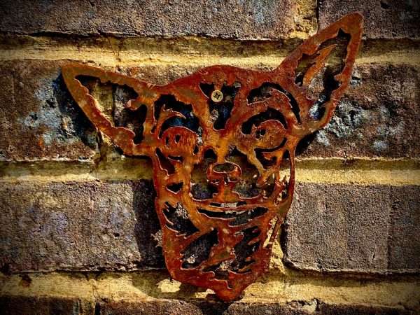 WELCOME TO THE RUSTIC GARDEN ART SHOP Here we have one of our. Small Exterior Rustic Rusty Chihuahua Little Dog Head Garden Wall Hanger House Gate Sign Hanging Metal Art Sculpture Size & Measurements: 18cm x 19cm Made From 2mm Mild Steel.