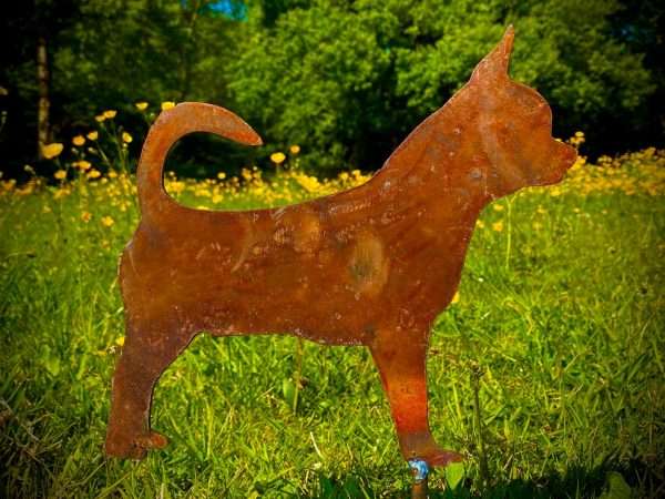 WELCOME TO THE RUSTIC GARDEN ART SHOP! Here we have one of our. Medium Exterior Rustic Rusty Metal Chihuahua Little Dog Small Pet Garden Stake Art Sculpture Sizes & Measurements:
26cm x 22cm Made From 2mm Mild Steel.