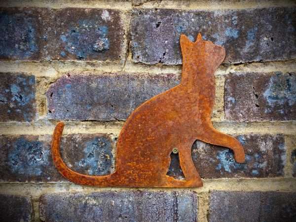 WELCOME TO THE RUSTIC GARDEN ART SHOP Here we have one of our. Small Exterior Cat Looking Up Feline Garden Wall House Gate Fence Shed Sign Hanging Metal Rustic Bird Bath Bird Feeder Art Gift Sizes & Measurements:
25cm x 20cm Made From 2mm Mild Steel.