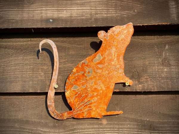 WELCOME TO THE RUSTIC GARDEN ART SHOP Here we have one of our. Small Exterior Rustic Rusty Metal Rat Ratty Roland Rodent Vermin Garden Fence House Wall Sign Hanging Yard Art Gate Post Lawn Sculpture Gift Sizes & Measurements:
20cm x 20cm Made from 2mm Mild Steel