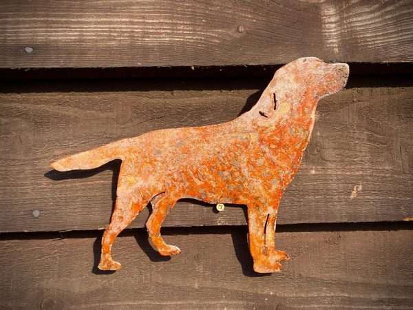 WELCOME TO THE RUSTIC GARDEN ART SHOP Here we have one of our. Small Exterior Labrador Retriever Gun Dog Andrex Puppy Garden Wall House Gate Sign Hanging Rusty Rustic Metal Art Sizes & Measurements: 25cm x 19cm Made From 2mm Mild Steel.