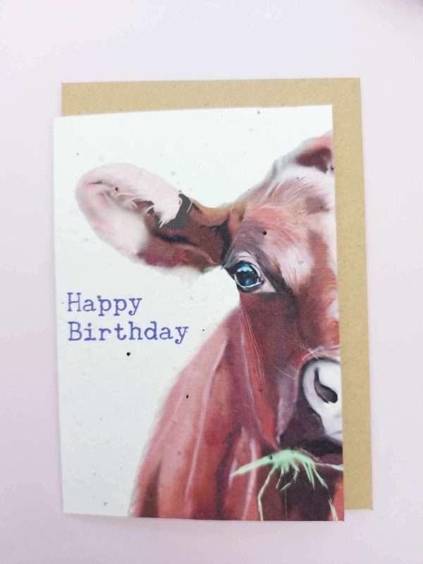 Plantable seed card featuring a cute Illustrated Jersey Cow eating grass with the sentiment Happy Birthday. Card is made of seed paper that will grow wildflowers when planted. card is A6 with a C6 envelope.