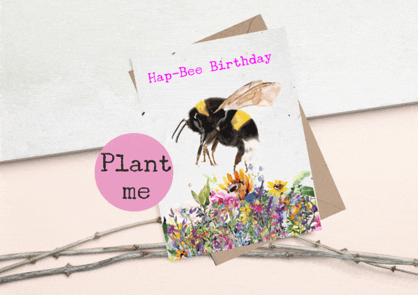 Plantable seed card featuring an illustrated bumble bee hovering over bright colourful flowers with the sentiment hap-bee birthday. The card is made of seed paper and is A6 in size with a C6 envelope.