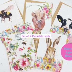 Plantable seed cards- note card set of 5 C6 cards with envelopes, 1 each of these designs- Bumblebee,Highland calf, Friesian cow,multi bee floral and hare. all on white backgrounds with floral accents. Made from seed paper that will grow wildflowers.