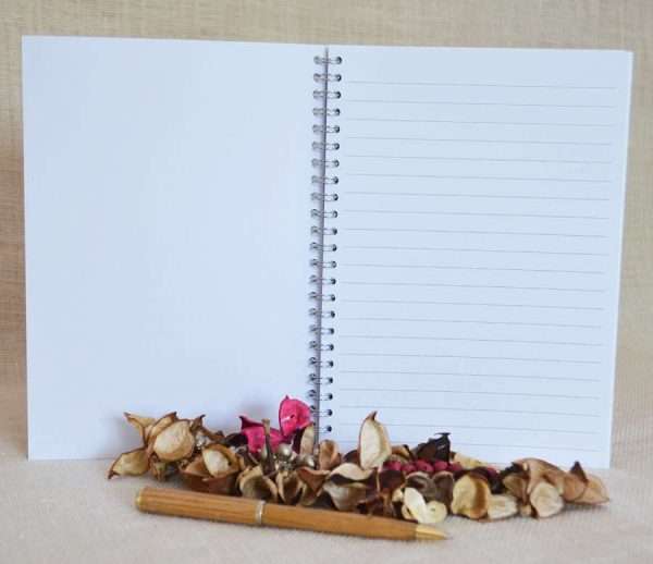 Lined and plain A5 ring-bound notebook pages