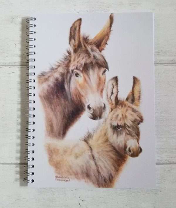 Donkey Jenny and Foal art A5 ring-bound notebook