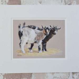 Pair of pygmy goat kids on a warm grey background art print in a pale mount.