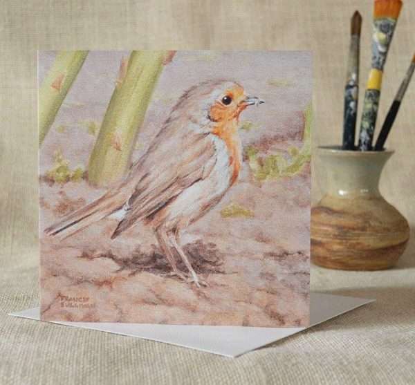 Robin in a garden on recently dug earth with asparagus behind from my painting art greetings card. Square, blank