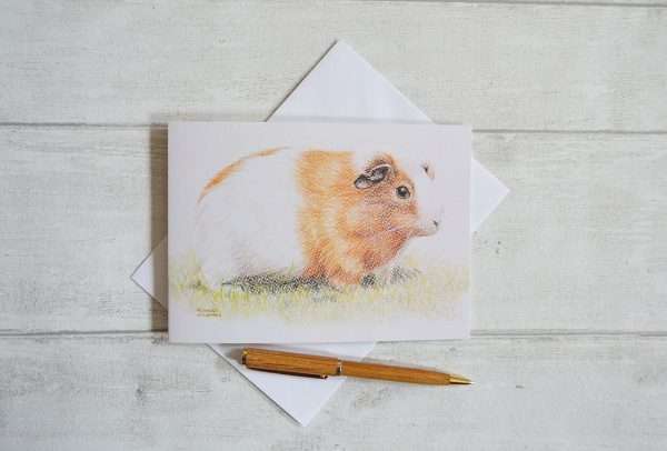 Guinea pig art birthday card. Brown and white piggy from side original drawn in coloured pencil.