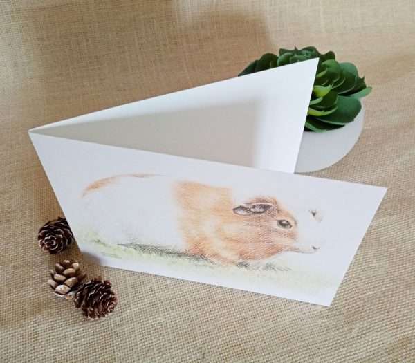 Guinea Pig blank art card viewed slightly open from above.