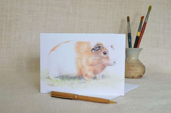 Guinea Pig art greetings card. Brown and white piggy viewed from the side. Oblong card