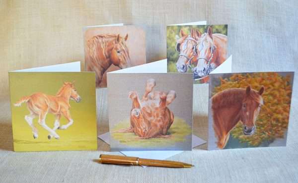 Pack of five Suffolk Punch Horse art birthday or notecards. Heads, foal and rolling horse.