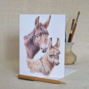 Donkey and foal art head studies greetings card.