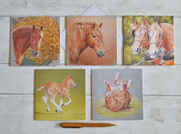Suffolk Punch Horse art greetings card pack. Five blank art cards from my artwork. Suffolk horse heads, foal and rolling.