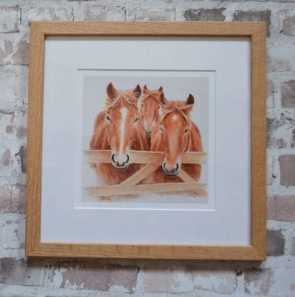 Suffolk Punch horses art print. Three heads looking over a gate in a pale mount and oak frame