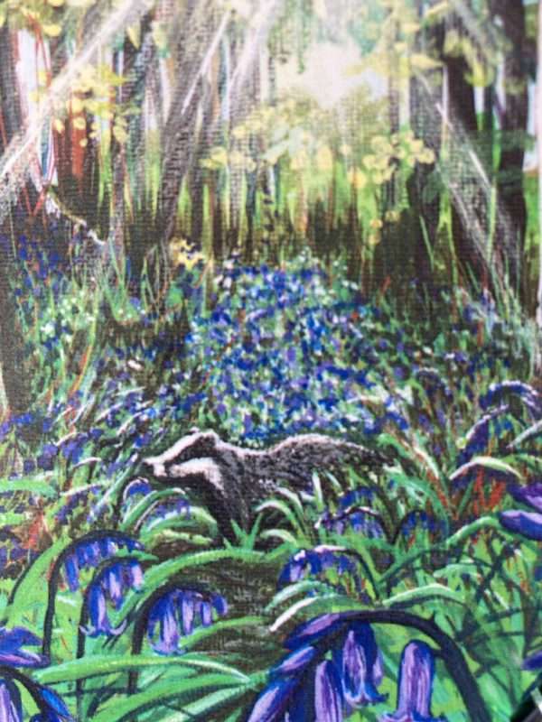 badger closeup scaled Badger Glade .Quality printed blank card from original art by Marion Spencer.